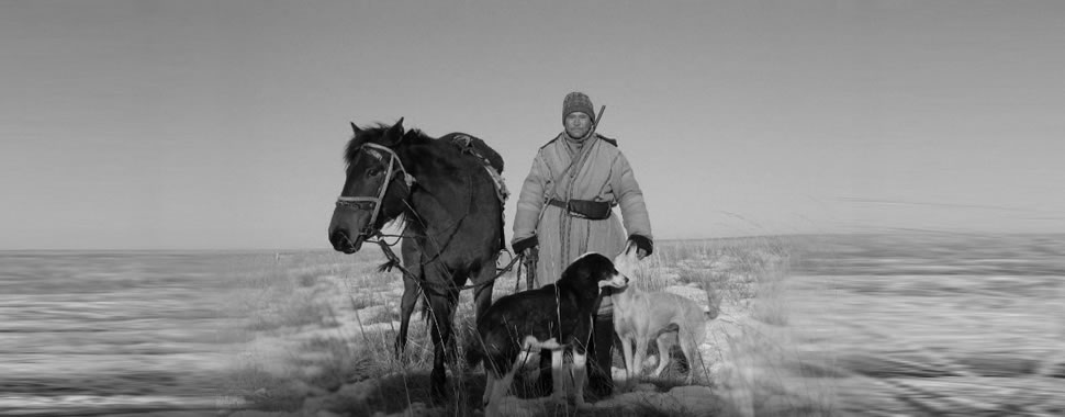 Persecuzioni comuniste a danno dei cani e cavalli